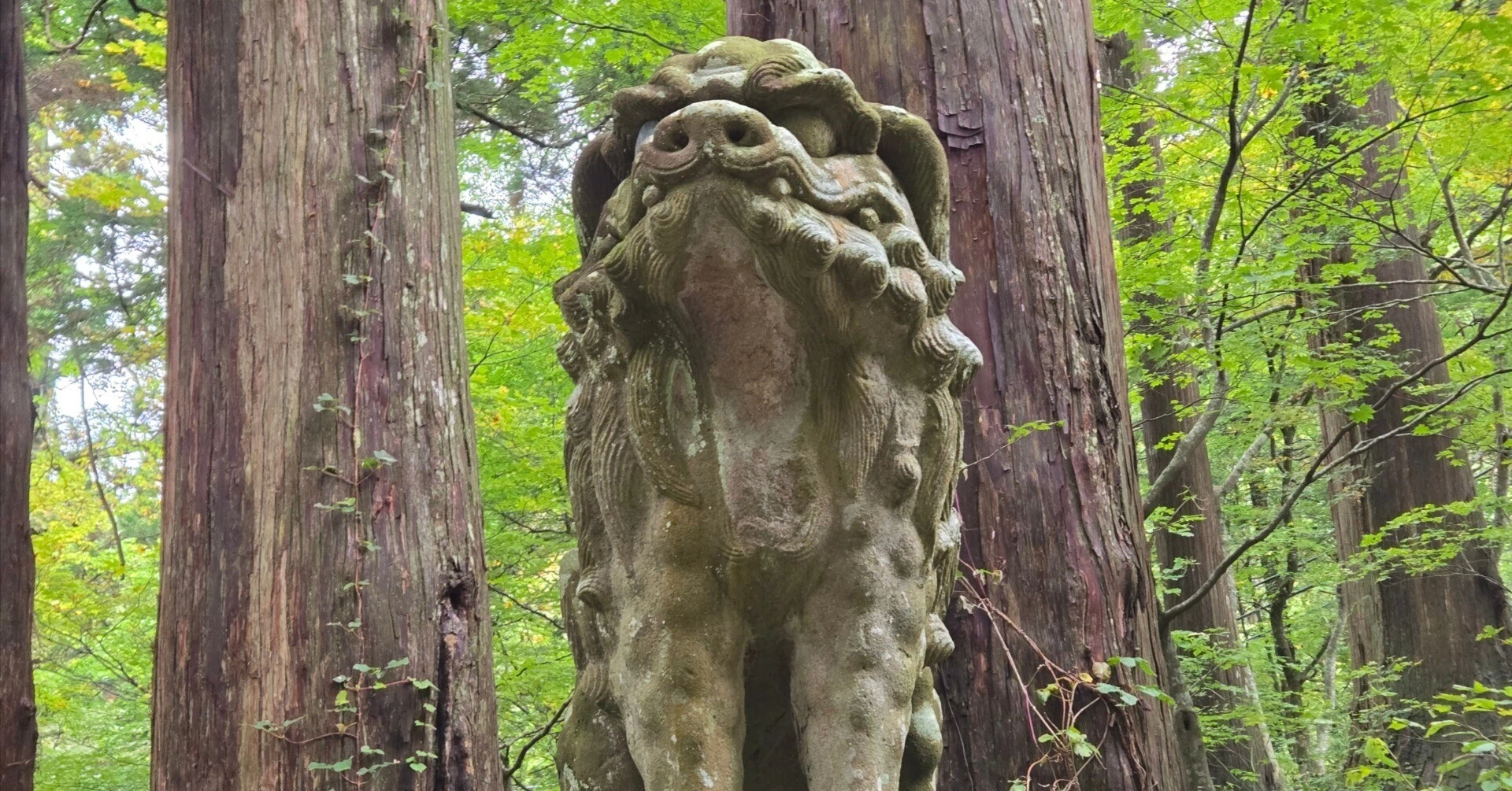 不思議と感動の山陰旅!大神山神社・奥宮で感じた神様のパワー